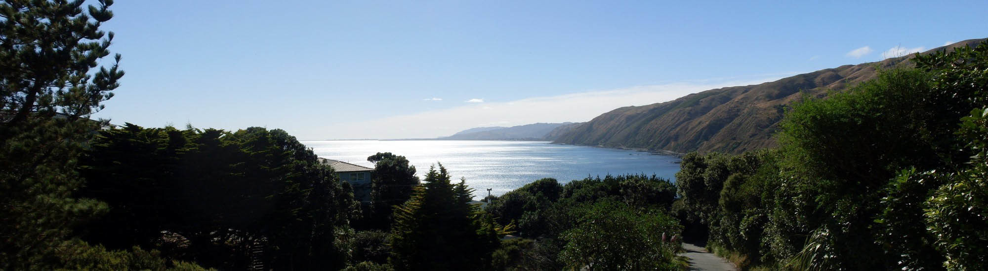 Lawyers Kapiti Law Waikanae Paraparaumu Wellington NZ